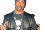 https://image.noelshack.com/fichiers/2020/26/6/1593268081-2pac.png