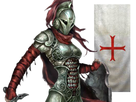 https://image.noelshack.com/fichiers/2020/27/1/1593382614-templarpose.png