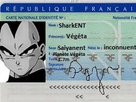 https://image.noelshack.com/fichiers/2020/27/2/1593522842-vegeta.jpg