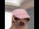 https://image.noelshack.com/fichiers/2020/27/4/1593688515-ebpfbkoxyauppzl.jpeg