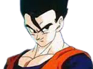 https://image.noelshack.com/fichiers/2020/27/7/1593952411-gohan.png