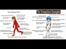https://image.noelshack.com/fichiers/2020/28/1/1594054504-rei-ayanami-2.png