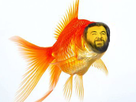 https://image.noelshack.com/fichiers/2020/28/6/1594460785-hooper-poisson.png