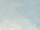 https://image.noelshack.com/fichiers/2020/29/1/1594617848-2-5afjh07l.png