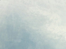 https://image.noelshack.com/fichiers/2020/29/1/1594617848-7-5afjh07l.png