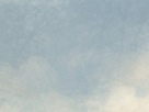 https://image.noelshack.com/fichiers/2020/29/1/1594617849-5-5afjh07l.png