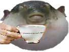 https://image.noelshack.com/fichiers/2020/29/7/1595167211-fugutasse.png