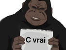 https://image.noelshack.com/fichiers/2020/30/1/1595228877-62b3b7ba-750f-43a8-a6f3-ff8f1268f4f1.jpeg