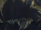 https://image.noelshack.com/fichiers/2020/30/2/1595322594-29-7ov0iujf.png