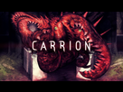 https://image.noelshack.com/fichiers/2020/30/3/1595437442-carrion.jpg