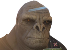 https://image.noelshack.com/fichiers/2020/30/4/1595528157-haloed.png