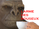 https://image.noelshack.com/fichiers/2020/30/4/1595534472-larmebouseux.png