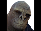 https://image.noelshack.com/fichiers/2020/30/4/1595536618-halol2.png