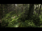 https://image.noelshack.com/fichiers/2020/30/4/1595538928-tlou2-ps4.jpg