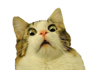 https://image.noelshack.com/fichiers/2020/30/5/1595609166-55171-full.png