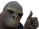 https://image.noelshack.com/fichiers/2020/30/7/1595784154-bruteok.png