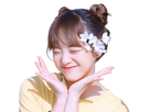 https://image.noelshack.com/fichiers/2020/31/7/1596359337-sejeong.png