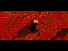 https://image.noelshack.com/fichiers/2020/31/7/1596378562-ghost-of-tsushima-20200801000056.jpg