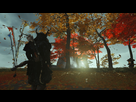 https://image.noelshack.com/fichiers/2020/32/1/1596468807-ghost-of-tsushima-20200730191339.jpg