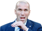 https://image.noelshack.com/fichiers/2020/32/2/1596545070-zidane.png