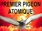 https://image.noelshack.com/fichiers/2020/32/2/1596566558-pigeon-atomique.png