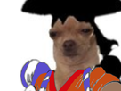 https://image.noelshack.com/fichiers/2020/32/4/1596666570-chien-oden-couleur.png