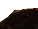 https://image.noelshack.com/fichiers/2020/33/1/1597081284-4-yeezj8qd.png