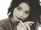 https://image.noelshack.com/fichiers/2020/33/2/1597111087-bjork.png
