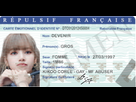 https://image.noelshack.com/fichiers/2020/33/2/1597180450-carte-didentitax-signe.png