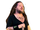 https://image.noelshack.com/fichiers/2020/33/5/1597365279-korn-falling-away-from-me.png