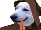 https://image.noelshack.com/fichiers/2020/33/7/1597545151-images-2020-04-10t234228-970.jpg