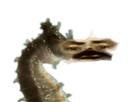 https://image.noelshack.com/minis/2020/34/1/1597622182-hippo.png