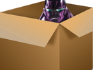 https://image.noelshack.com/fichiers/2020/34/1/1597677041-1510858427-box-152428-960-720.png