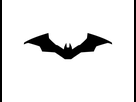 https://www.noelshack.com/2020-34-3-1597847483-new-bat-symbol-for-batman.jpg