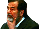 https://image.noelshack.com/fichiers/2020/35/1/1598293948-saddam-pensif.png