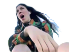 https://image.noelshack.com/minis/2020/35/5/1598569342-polachonk-1.png