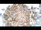 https://image.noelshack.com/minis/2020/35/5/1598634532-nouille-monster-gif-6.png