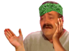 https://image.noelshack.com/fichiers/2020/35/5/1598648411-zrvert.png