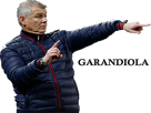 https://image.noelshack.com/fichiers/2020/35/6/1598729126-garandiola.png