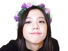 https://image.noelshack.com/fichiers/2020/35/7/1598780988-blackpink-jisoo-hum.png