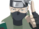 https://image.noelshack.com/fichiers/2020/35/7/1598782446-pointekakashi.png