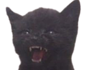 https://image.noelshack.com/fichiers/2020/35/7/1598807288-agrougrou.png