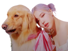 https://image.noelshack.com/fichiers/2020/36/3/1599057649-blackpink-7.png