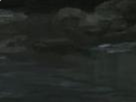 https://image.noelshack.com/fichiers/2020/37/1/1599474262-29-u293r4qh.png