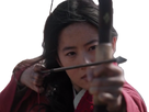 https://image.noelshack.com/fichiers/2020/37/1/1599484566-mulan-detruite-par-disney.png