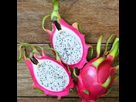 https://image.noelshack.com/fichiers/2020/37/1/1599484613-i56407-le-pitaya-un-fruit-exotique-plein-de-bienfaits.jpg