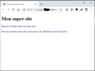 https://image.noelshack.com/fichiers/2020/37/1/1599491598-04.jpg