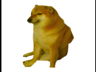 https://image.noelshack.com/fichiers/2020/37/2/1599569569-cheems.png