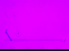 https://image.noelshack.com/fichiers/2020/37/5/1599845138-thumbnail-4.jpg