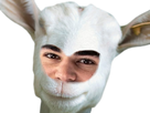 https://www.noelshack.com/2020-37-7-1600014907-stroll-chevre-issou.png